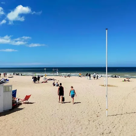 Geweldig In Met * Oostende